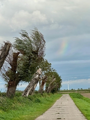 hier wohnt die Inspiration meiner Bilder - zumindest ihre Wurzeln